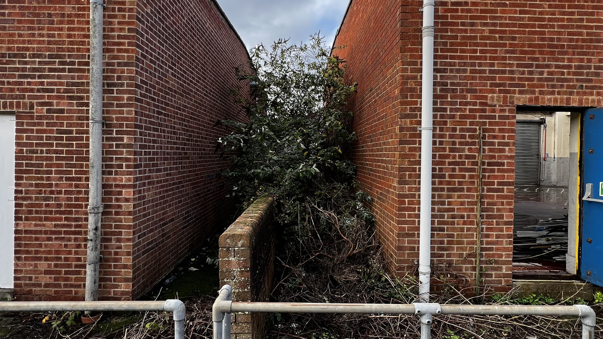 Who Should You Contact First — The Council, a Surveyor, or Your Neighbour Watford?